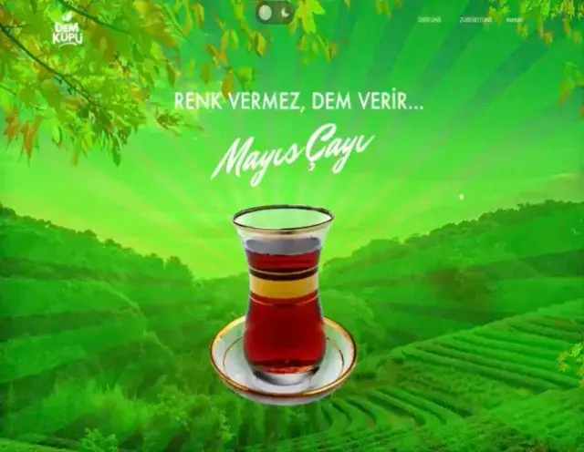 www.demkupu.com